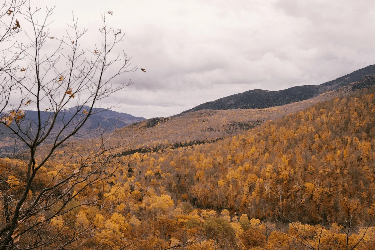 Mapleton Mountain Landscape